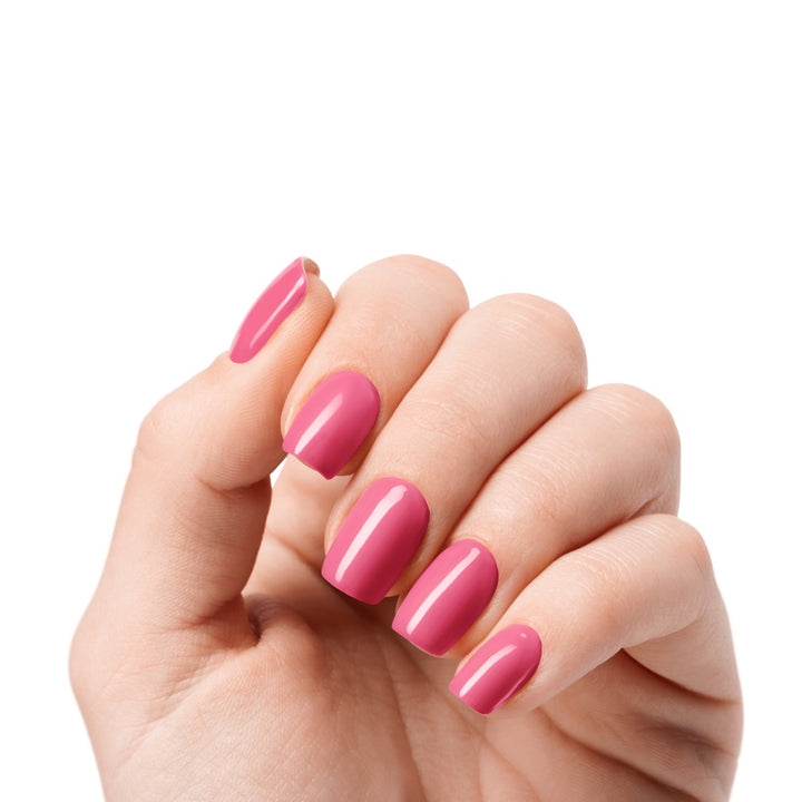Pink Peony