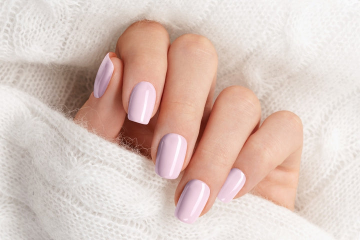 Powder Puff Rose
