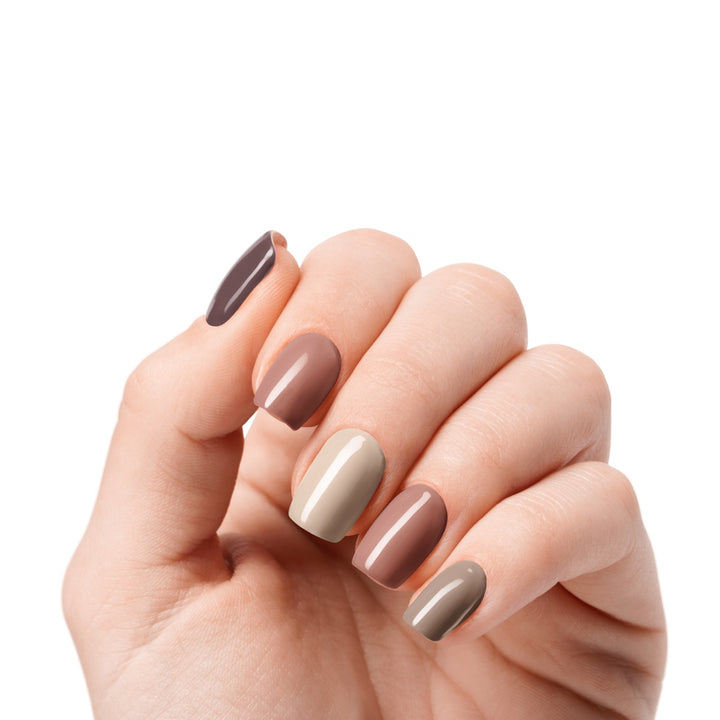 Eclectic Brown Mix